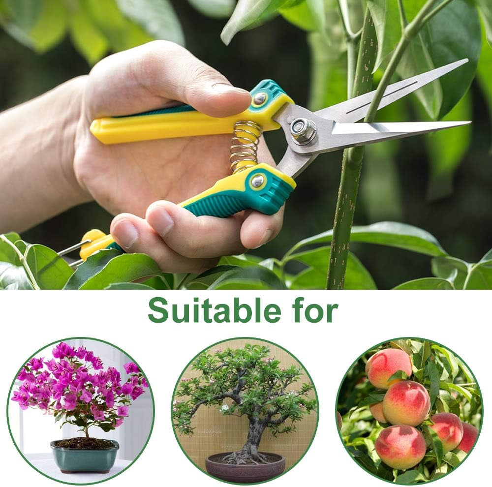 8.1″Gardening Hand Pruner Pruning Shear with Straight Stainless Steel Blades, Ultra Sharp Garden Scissors for Flowers, Harvesting Fruits & Vegetables,Trimming Plants (Green)