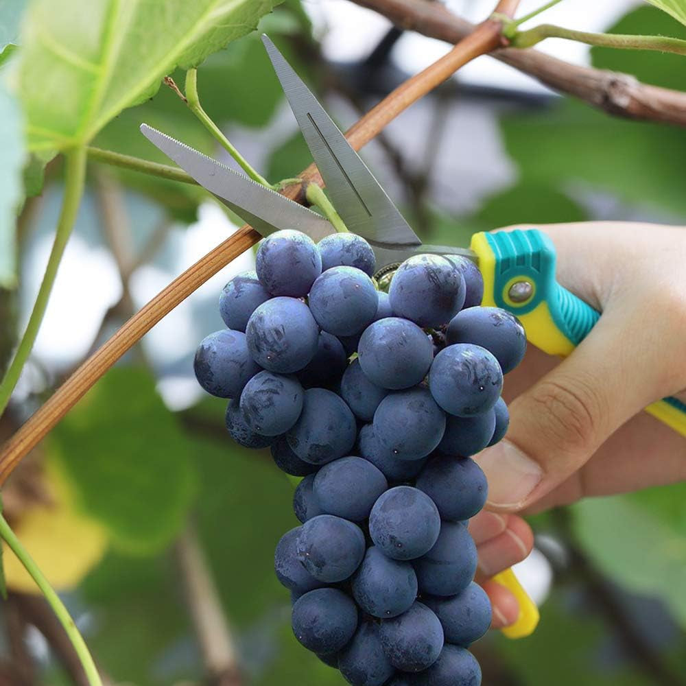 8.1″Gardening Hand Pruner Pruning Shear with Straight Stainless Steel Blades, Ultra Sharp Garden Scissors for Flowers, Harvesting Fruits & Vegetables,Trimming Plants (Green)