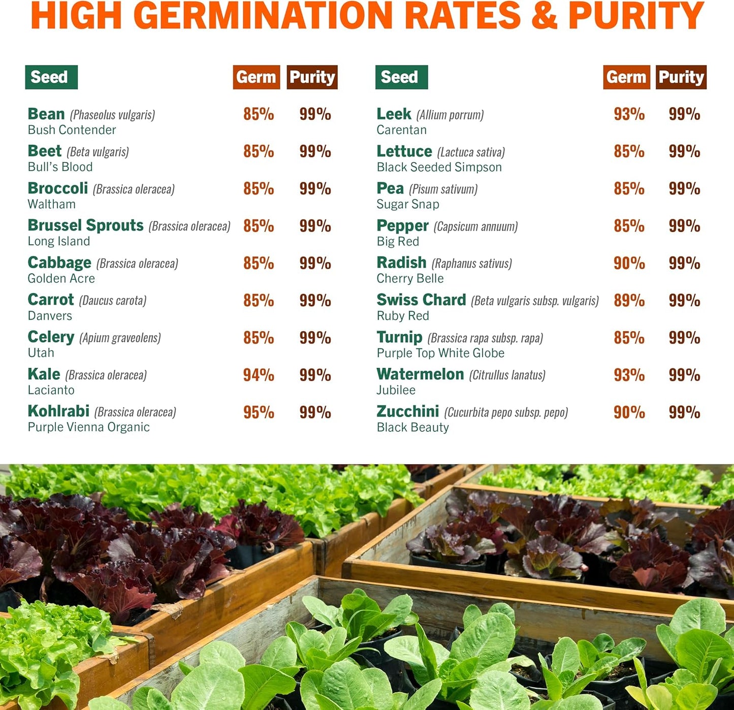 15,000 Heirloom Seeds Non-Gmo for Planting Vegetables & Fruits (18 Variety Pack) - Gardening Starter Kit Seeds, Survival Gear Food, Gardening Gifts, Emergency Supplies