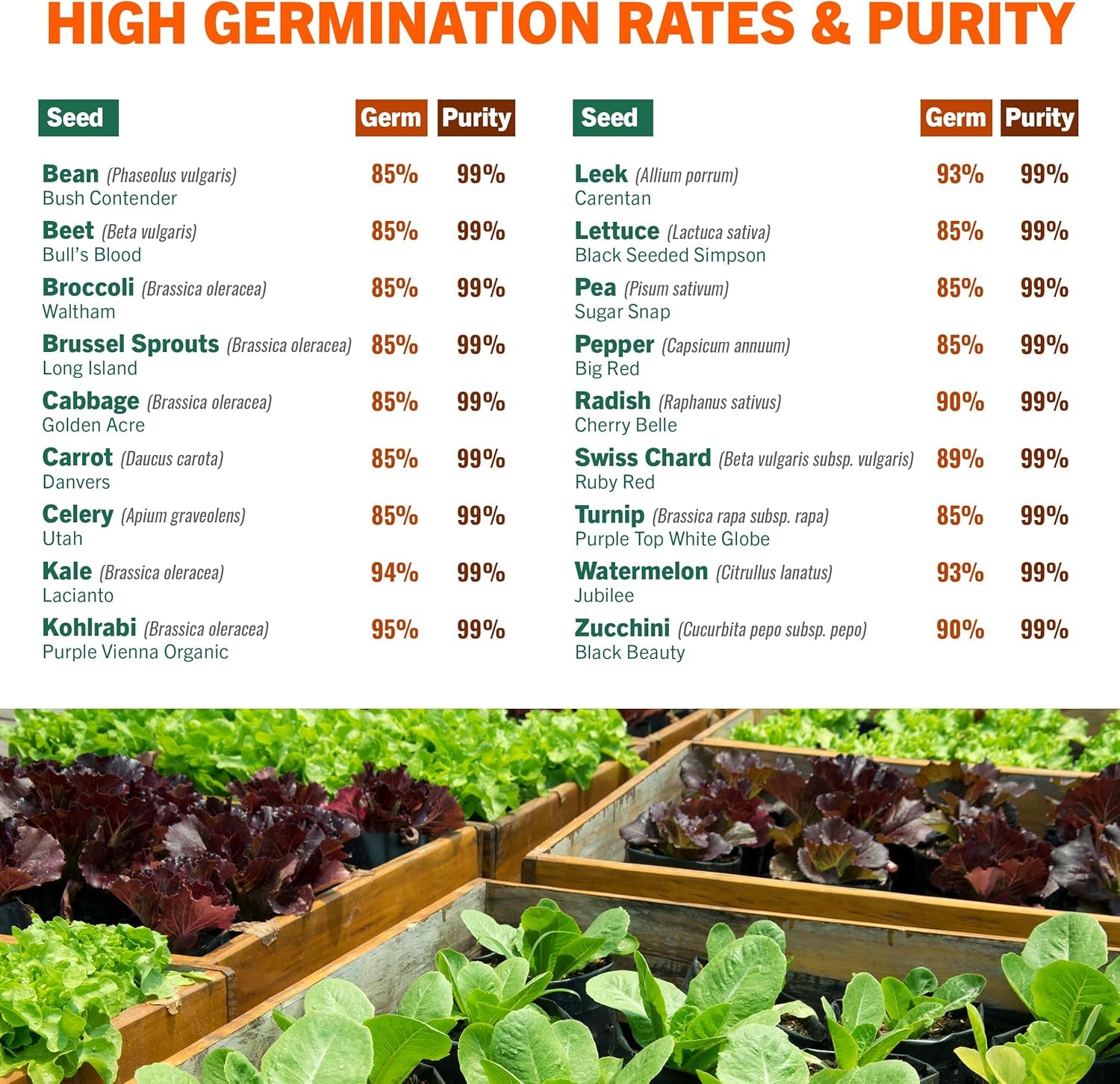 15,000 Heirloom Seeds Non-Gmo for Planting Vegetables & Fruits (18 Variety Pack) - Gardening Starter Kit Seeds, Survival Gear Food, Gardening Gifts, Emergency Supplies